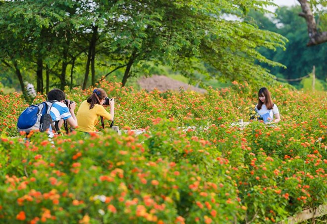 Đến thăm 2 khu vườn xinh xắn tại Hà Nội