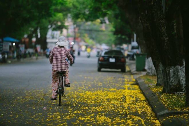 Mùa hoa phượng vàng mộng mơ xứ Huế