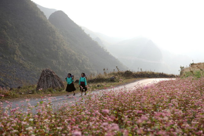 Ngắm nhìn vẻ đẹp thơ mộng của lễ hội hoa tam giác mạch đầu tiên ở Hà Giang