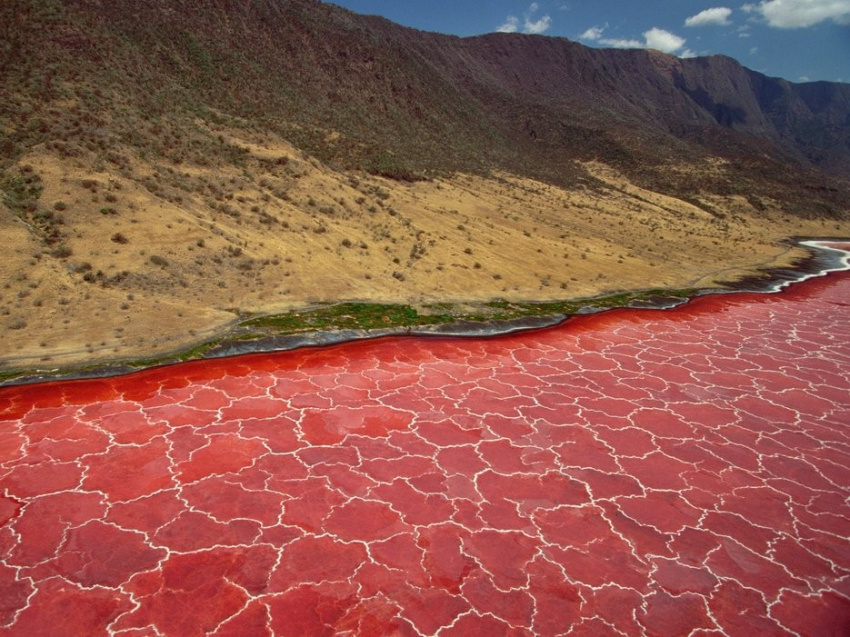 Kì lạ hồ nước Natron đỏ nhất thế giới