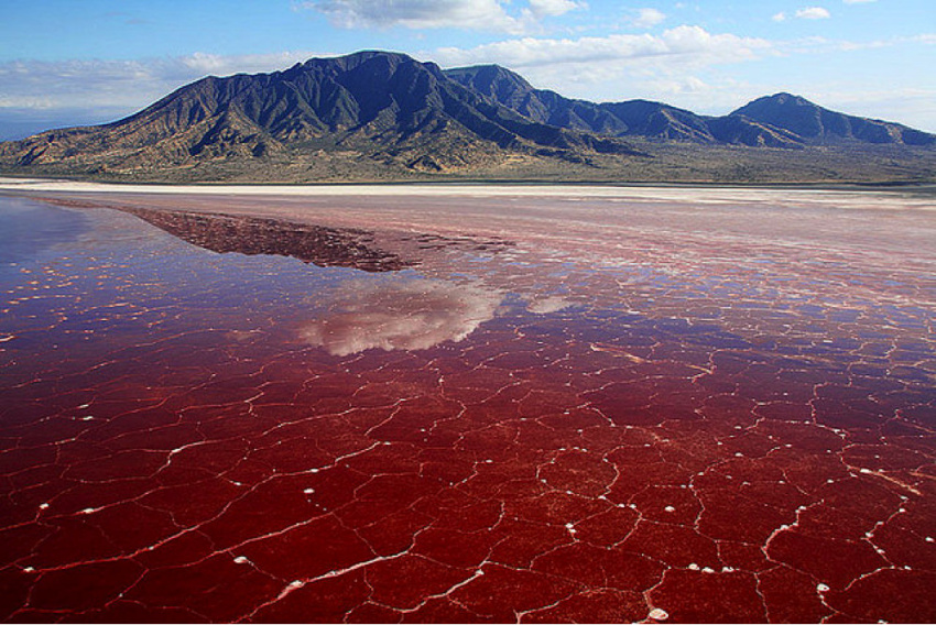 Kì lạ hồ nước Natron đỏ nhất thế giới