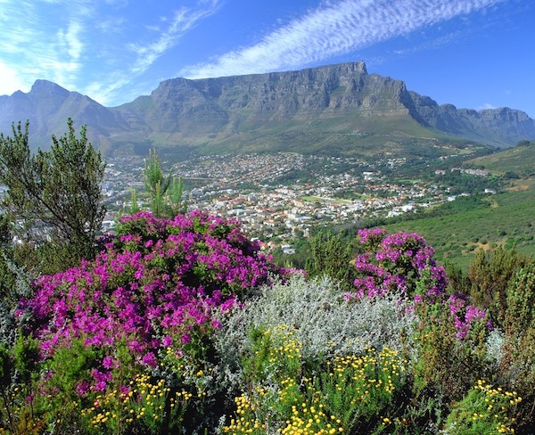Núi Bàn - kì quan của Nam Phi