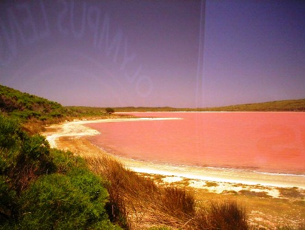 Hồ Hillier với màu nước hồng lạ kì