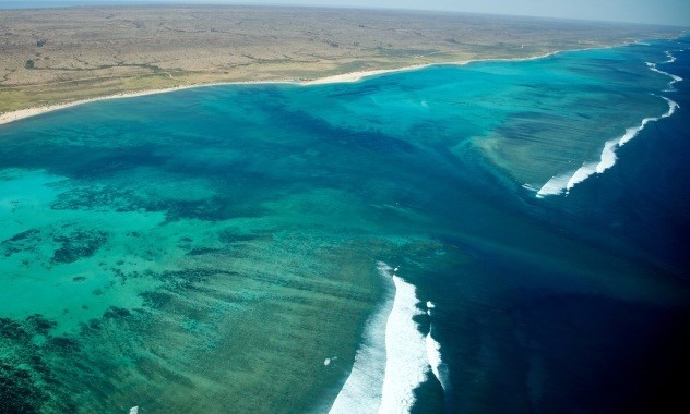 Bờ biển Ningaloo với rặng san hô đẹp nhất Thế Giới