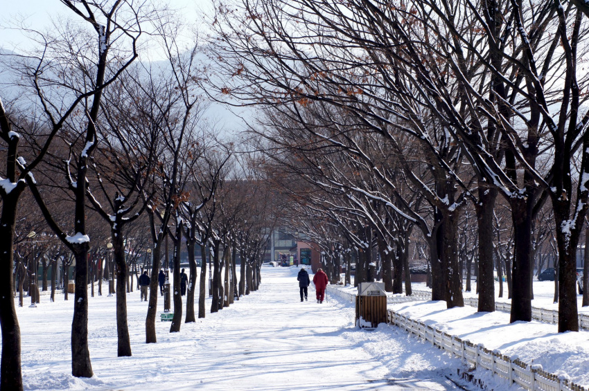 10 điều thú vị nhất định phải thử khi lạc trôi đến Seoul vào mùa đông