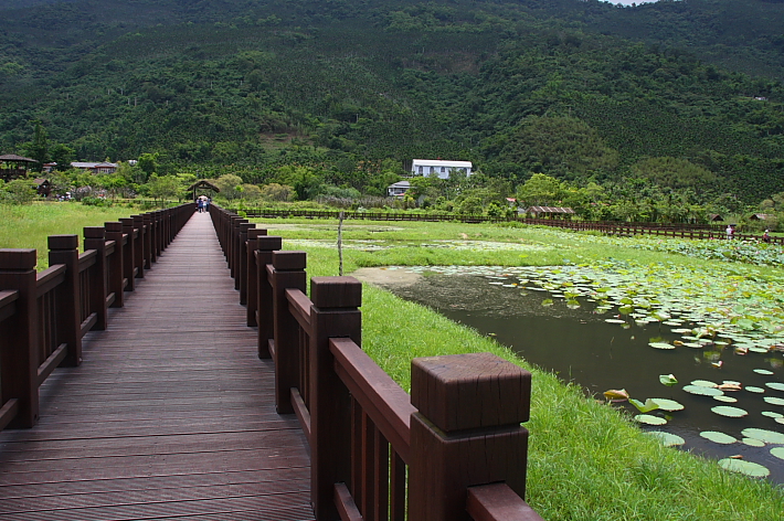 Ngang qua đầm lầy Mataian ở Đài Loan