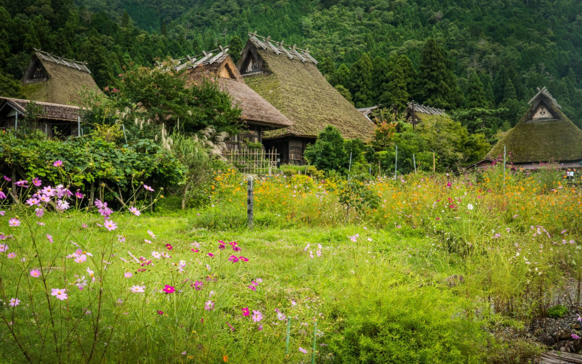 Nét đẹp cổ xưa làng mái tranh Miyama