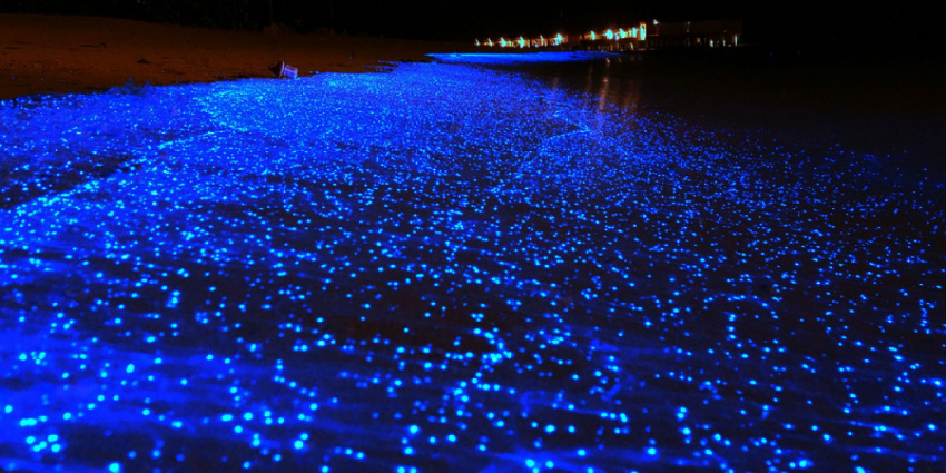 Bãi biển phát sáng ở thiên đường Maldives