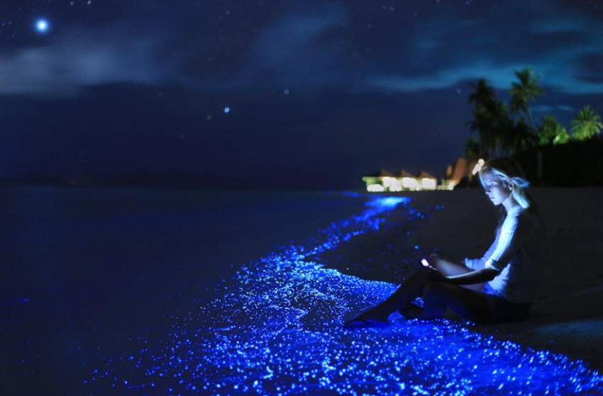 Bãi biển phát sáng ở thiên đường Maldives