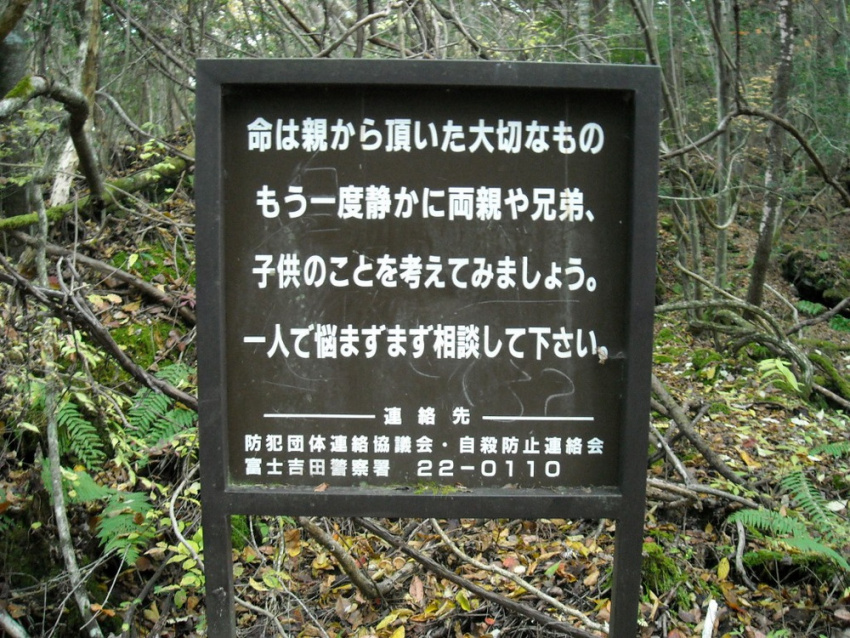 Aokigahara - Bí ẩn về một khu rừng