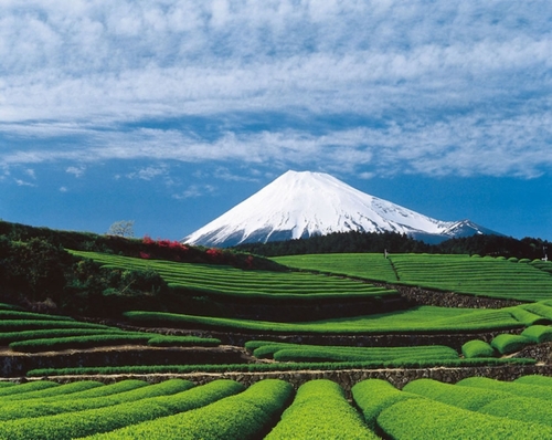Những góc ảnh đẹp mê hồn của núi Phú Sĩ