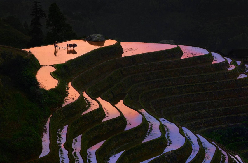 Ruộng bậc thang Trung Quốc qua lăng kính nhiếp ảnh gia người Pháp
