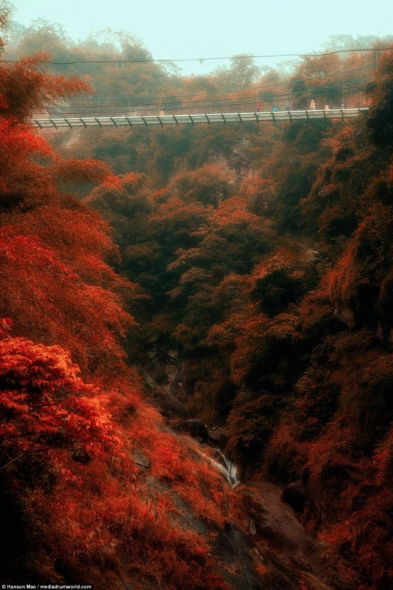 Chiêm ngưỡng cảnh đẹp mùa thu trên cây cầu kính ở Đài Loan