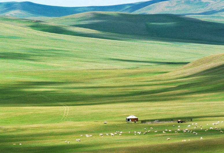 Mông Cổ : Một Thoáng Thảo Nguyên