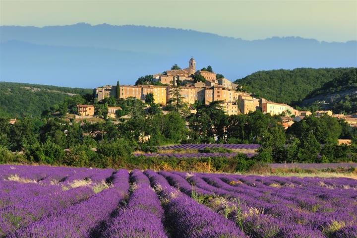 Đến Provence đắm mình vào mùi oải hương tím