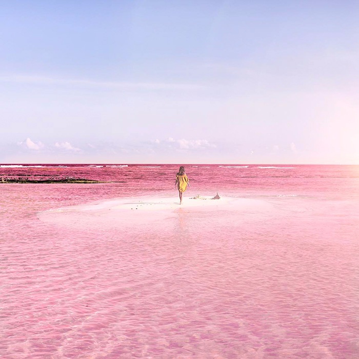 Hồ nước màu hồng tuyệt đẹp như bước ra từ cổ tích