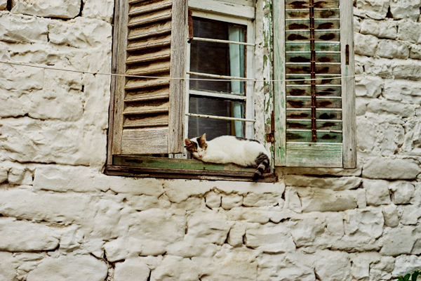 Ghé thăm Berat thành phố nghìn cửa sổ của châu Âu