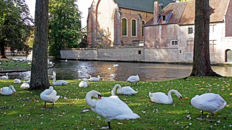 Lạc vào thành phố cổ tích Bruges