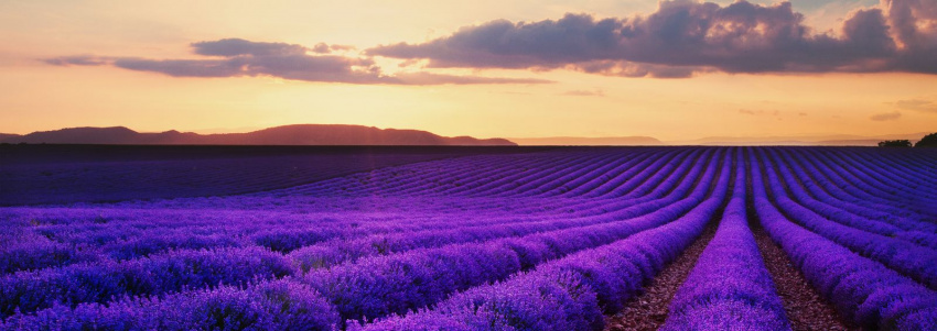 Provence biểu tượng của sự thuần khiết