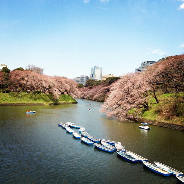 Bí kíp du lịch Tokyo chỉ dưới 1 triệu đồng mỗi ngày