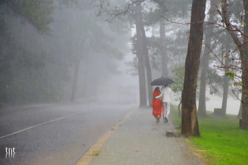 Đà Lạt - Thành phố của những ngày mưa buồn thênh thang