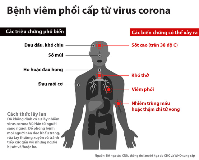 Virus corona ở Đà Lạt có hay không?