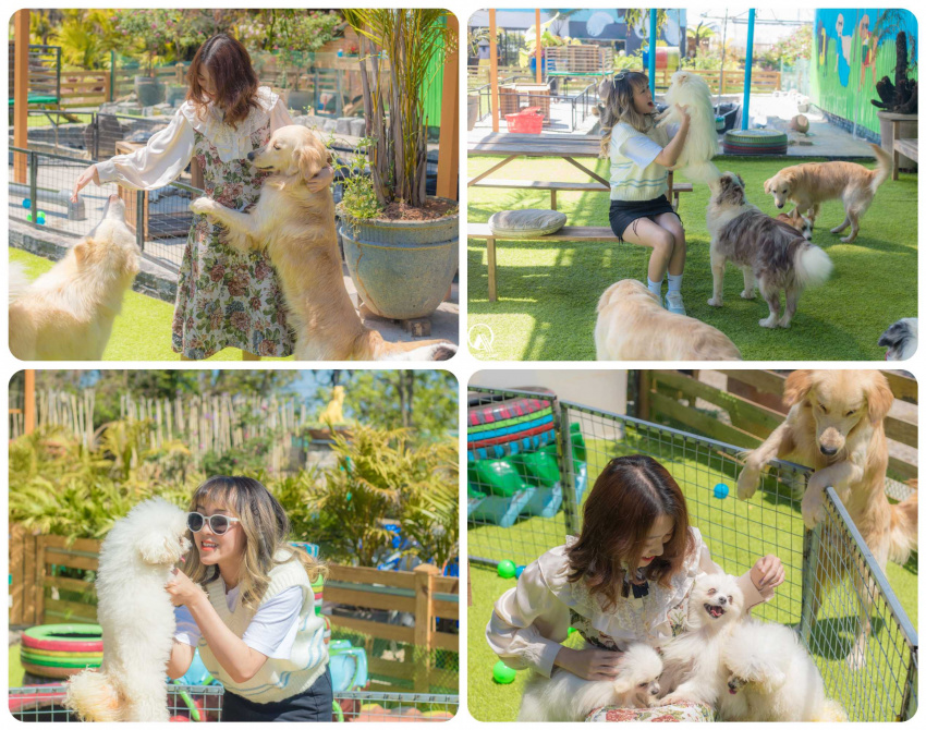 Vườn của Cún - Puppy's Garden nơi check in cùng các bé cún siêu yêu tại Đà Lạt