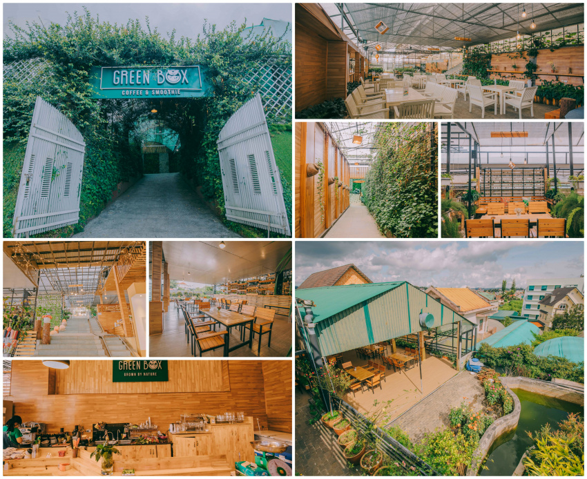 green box cafe, cafe đà lạt, cà phê đà lạt, green box cafe – “nông trại xanh“ độc đáo giữa thành phố ngàn hoa