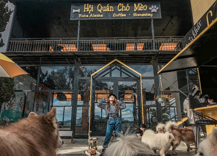 Top 5 quán cà phê thú cưng Đà Lạt được yêu thích hiện nay