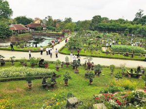 vườn ngự uyển cơ hạ – kiệt tác vườn cung đình huế