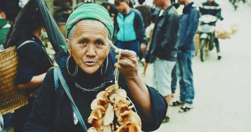 nấm hương rừng sapa – đặc sản mang hương vị mộc mạc, dân dã vùng non cao tây bắc
