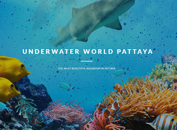chiêm ngưỡng đại dương ở thủy cung underwater world, pattaya