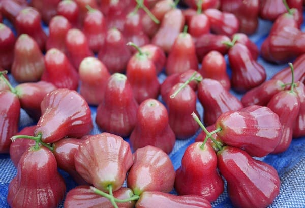 11 loại trái cây của thái lan phổ biến nhất bạn đừng bỏ lỡ