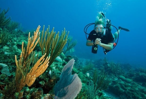 review coral island – đảo san hô koh larn tuyệt đẹp ở pattaya