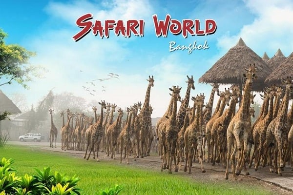 Kinh nghiệm đi Safari World Bangkok đầy đủ không thiếu thứ gì
