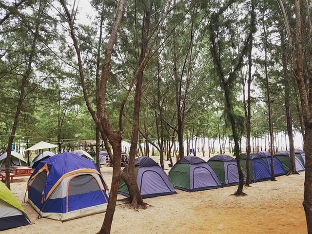 Những địa điểm cắm trại qua đêm ở TPHCM được các bạn trẻ yêu thích?