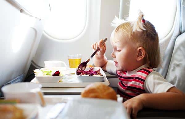 Các quy định trẻ em đi máy bay mà cha mẹ cần biết, Cẩm nang bay