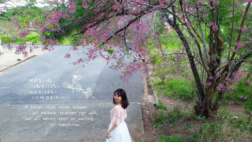 Lộ diện ngôi trường đẹp như phim Hàn ở Đà Lạt đang dẫn đầu hot trend sống ảo