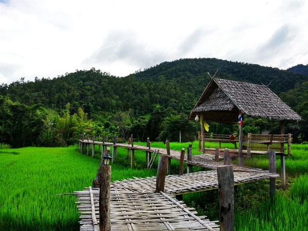 Hướng dẫn cách đi từ Chiang Mai đến Pai, Thái Lan, thái lan