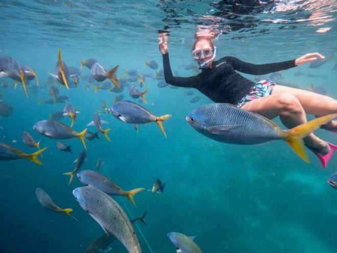 khách sạn dưới nước, khám phá du lịch, du lịch úc, khách sạn dưới nước cho phép ngắm san hô vĩ đại nhất thế giới