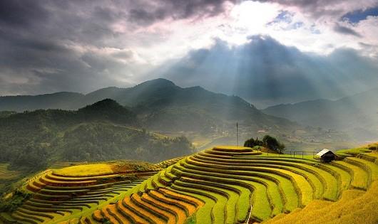 Ngẩn ngơ trước 6 địa điểm ngắm ruộng bậc thang đẹp ở Việt Nam