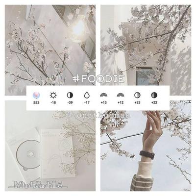 Trả lời đola gấu Công thức chỉnh màu tone trắng Hàn Quốc trên iphone   TikTok