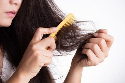 note ngay 6 loại dầu gội ngăn rụng tóc đáng dùng nhất hiện nay