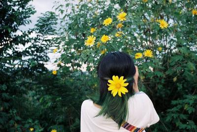 5 cách chụp ảnh với hoa dã quỳ cho bạn những bức ảnh sống ảo siêu ...