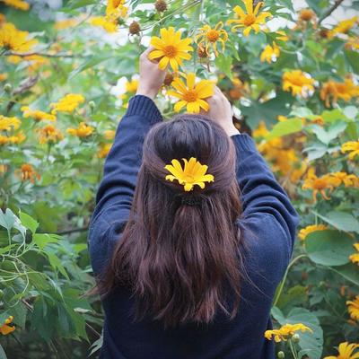 5 cách chụp ảnh với hoa dã quỳ cho bạn những bức ảnh sống ảo siêu ...