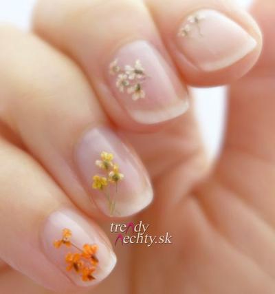  lam dep (995),  xu huong (635),  nails (188), những mẫu nail hoa cúc giúp bạn gái xinh càng thêm xinh