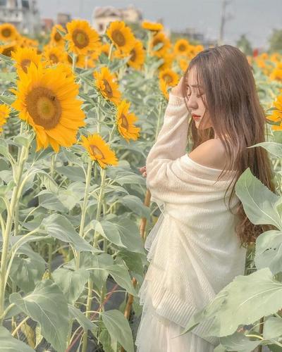 10 cách phối đồ cực cool cho các cô gái khi chụp ảnh với hoa cúc họa mi   Aphoto