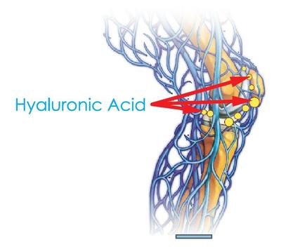 5 loại thực phẩm có chứa hyaluronic acid giúp xương khớp hoạt động hiệu quả và đẹp da