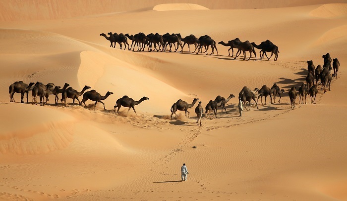 Trải nghiệm những ảo giác êm đẹp của xứ Ả Rập trên sa mạc Liwa