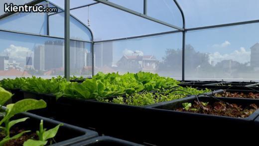 , thiết kế nhà kính trồng rau trên sân thượng có dễ không?